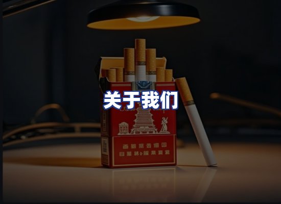 专业团队